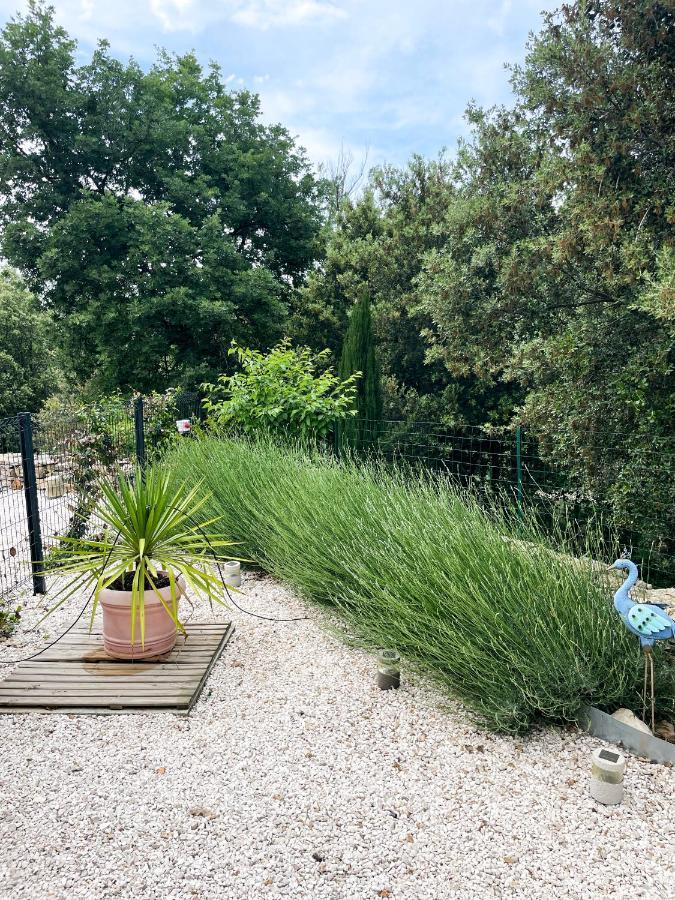 Chez Amali - Stielvolle Ferienwohnung In Der Provence Mit Terrasse Brignoles Eksteriør billede