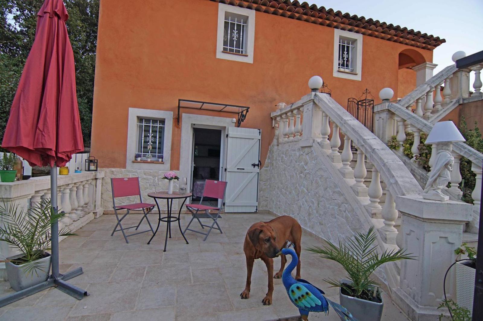 Chez Amali - Stielvolle Ferienwohnung In Der Provence Mit Terrasse Brignoles Eksteriør billede